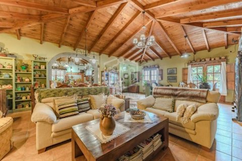 Villa pārdošanā Icod de los Vinos, Tenerife, Spānijā 4 istabas, 276 m2 Nr. 147622 - attēls 29