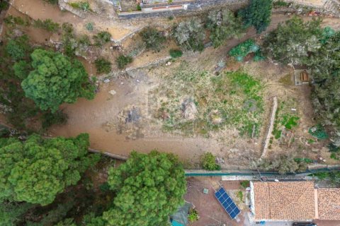 Villa pārdošanā Icod de los Vinos, Tenerife, Spānijā 4 istabas, 276 m2 Nr. 147622 - attēls 7