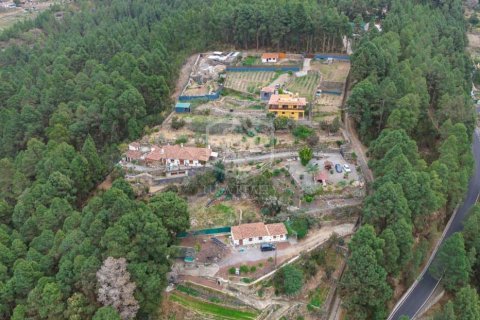 Villa pārdošanā Icod de los Vinos, Tenerife, Spānijā 4 istabas, 276 m2 Nr. 147622 - attēls 15