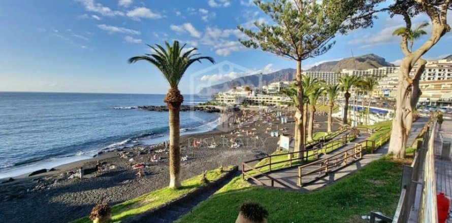 Komerciāls īpašums Santiago del Teide, Tenerife, Spānijā 12 istabas, 492 m2 Nr. 147621