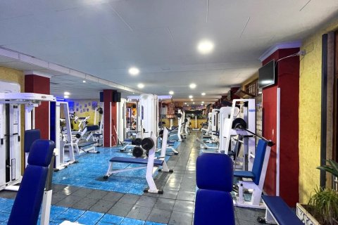 Commercial property à vendre à Palma de Majorca, Mallorca, Espagne, 427 m2 No. 147624 - photo 7