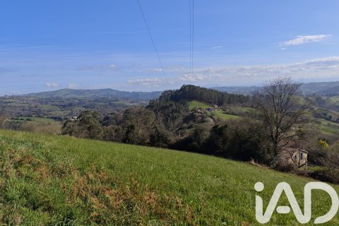 Land zum Verkauf in Gijon, Asturias, Spanien Nr. 187755 - Foto 12