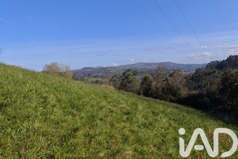 Land zum Verkauf in Gijon, Asturias, Spanien Nr. 187755 - Foto 7