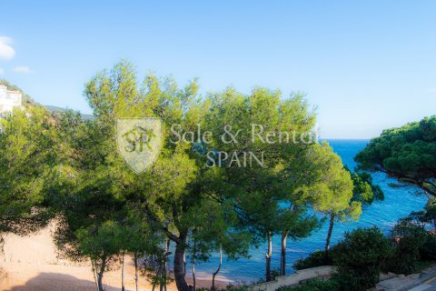 Apartamento en venta en Tossa de Mar, Gerona, España 3 dormitorios, 80 m2 No. 166406 - foto 15
