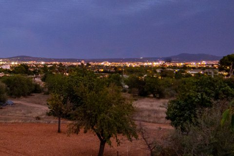 Finca myytävänä Palma de Majorca, Mallorca, Espanja, 8 makuuhuonetta, 681 m2 No. 196349 - kuva 8