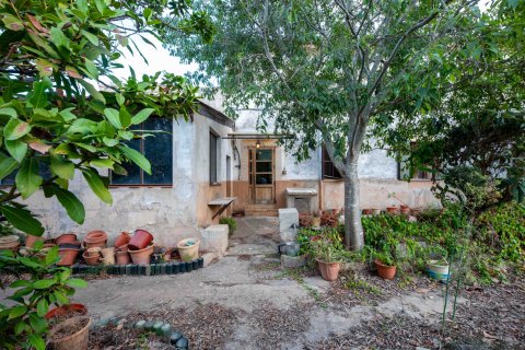 Finca myytävänä Palma de Majorca, Mallorca, Espanja, 8 makuuhuonetta, 681 m2 No. 196349 - kuva 17