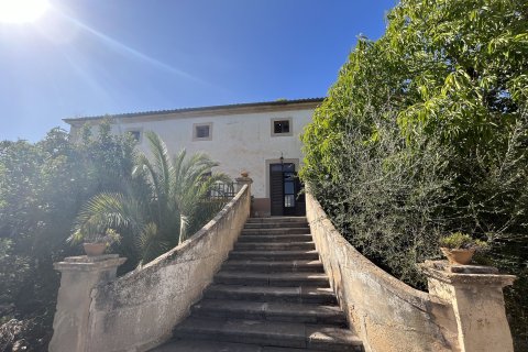 Finca myytävänä Palma de Majorca, Mallorca, Espanja, 8 makuuhuonetta, 681 m2 No. 196349 - kuva 20