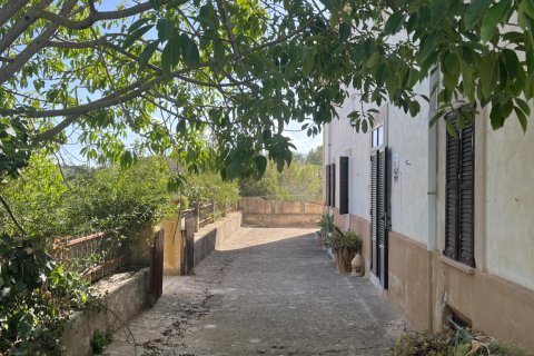Finca myytävänä Palma de Majorca, Mallorca, Espanja, 8 makuuhuonetta, 681 m2 No. 196349 - kuva 21