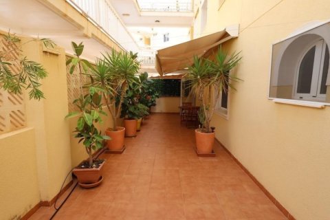 Dzīvoklis pārdošanā Dehesa De Campoamor, Alicante, Spānijā 3 istabas, 101 m2 Nr. 196346 - attēls 24