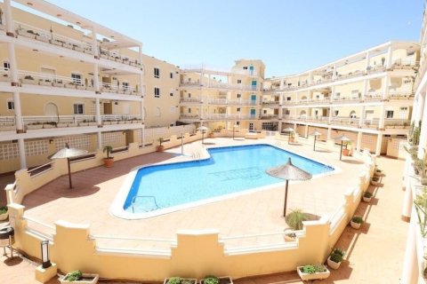 Dzīvoklis pārdošanā Dehesa De Campoamor, Alicante, Spānijā 3 istabas, 101 m2 Nr. 196346 - attēls 4