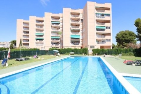 Dzīvoklis pārdošanā Dehesa De Campoamor, Alicante, Spānijā 3 istabas, 101 m2 Nr. 196346 - attēls 27