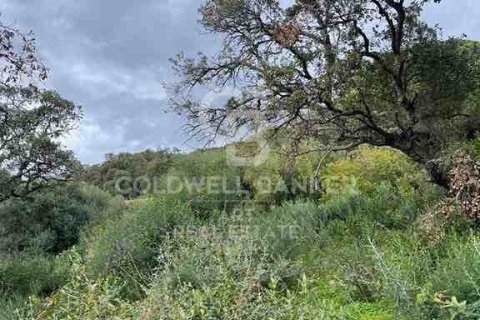 Land zum Verkauf in Sotogrande, Cadiz, Spanien 2100 m2 Nr. 159588 - Foto 10