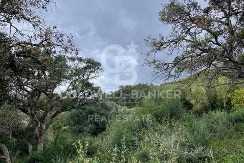 Land zum Verkauf in Sotogrande, Cadiz, Spanien 2100 m2 Nr. 159588 - Foto 13