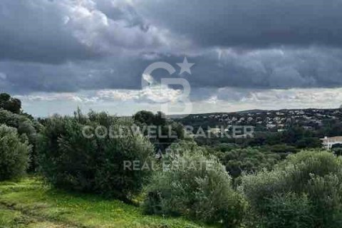 Terreno in vendita a Sotogrande, Cadiz, Spagna 2690 mq. N° 159589 - foto 8