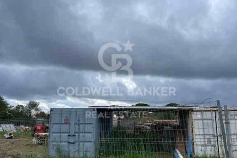 Land plot à vendre à Sotogrande, Cadiz, Espagne, 3376 m2 No. 159587 - photo 8