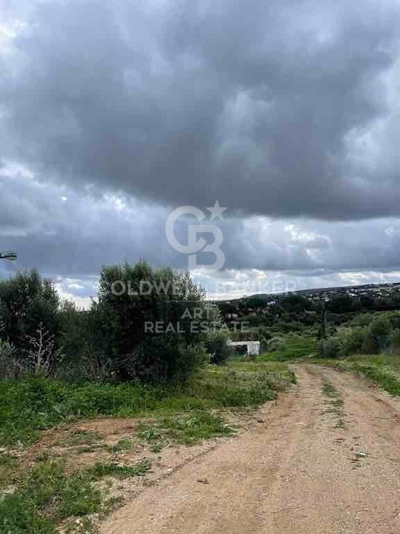 Land plot in Sotogrande, Cadiz, Spain 3376 sq.m. No. 159587