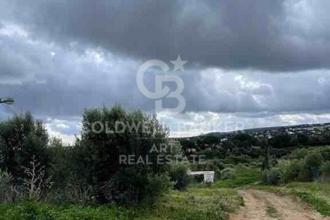 Parcela en venta en Sotogrande, Cádiz, España 3376 m2 No. 159587 - foto 14