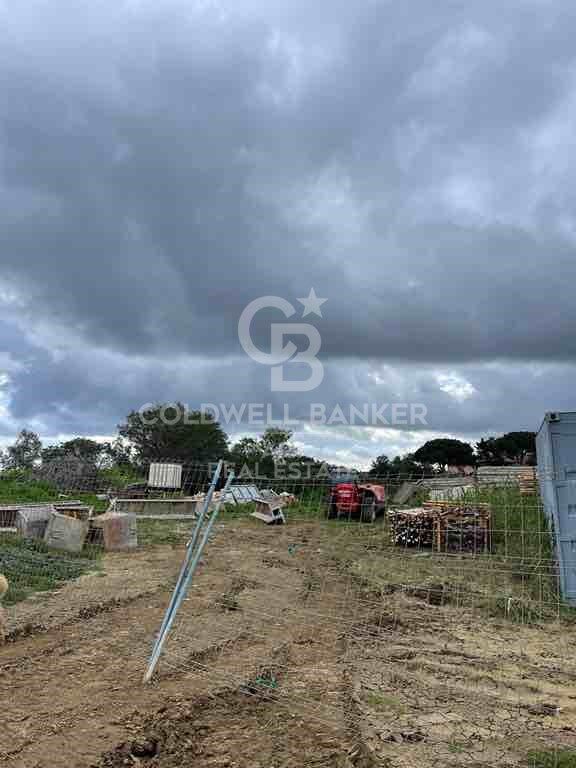 Land plot in Sotogrande, Cadiz, Spain 3376 sq.m. No. 159587