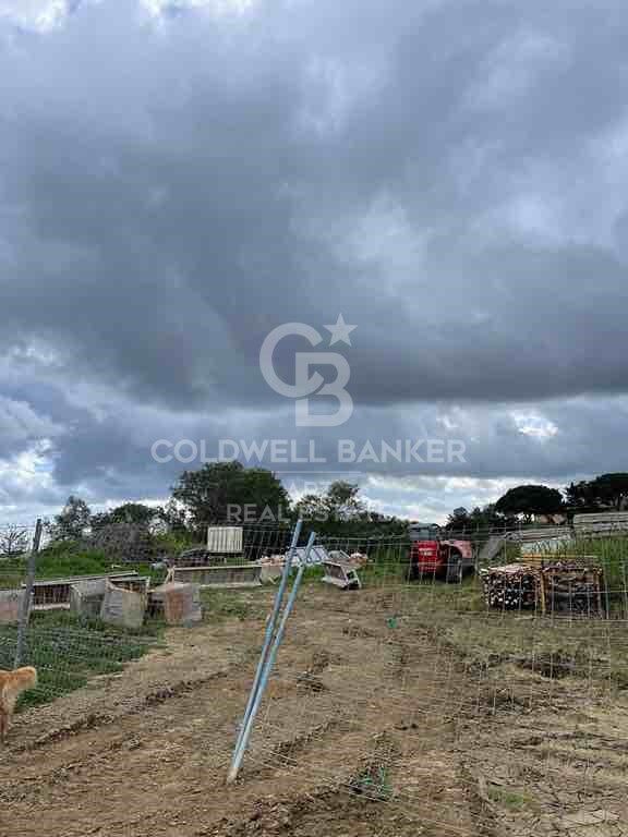 Land plot in Sotogrande, Cadiz, Spain 3376 sq.m. No. 159587