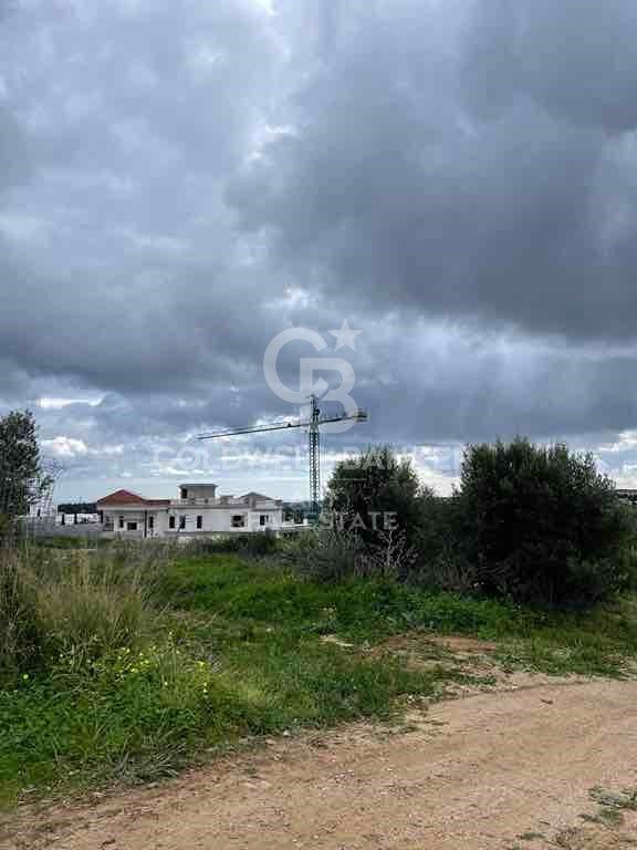 Land plot in Sotogrande, Cadiz, Spain 3376 sq.m. No. 159587