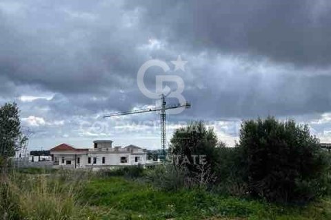 Parcela en venta en Sotogrande, Cádiz, España 3376 m2 No. 159587 - foto 7