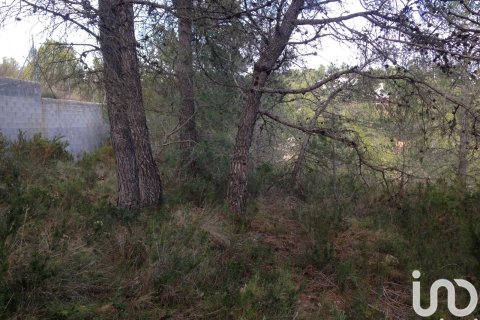 Parcela en venta en El Montmell, Tarragona, España 745 m2 No. 185883 - foto 12