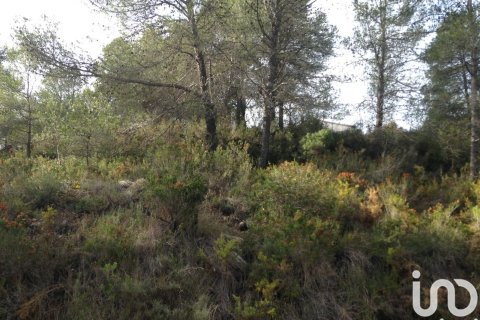 Parcela en venta en El Montmell, Tarragona, España 745 m2 No. 185883 - foto 9