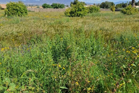 Parcela en venta en Lorca, Murcia, España 3843 m2 No. 185881 - foto 24