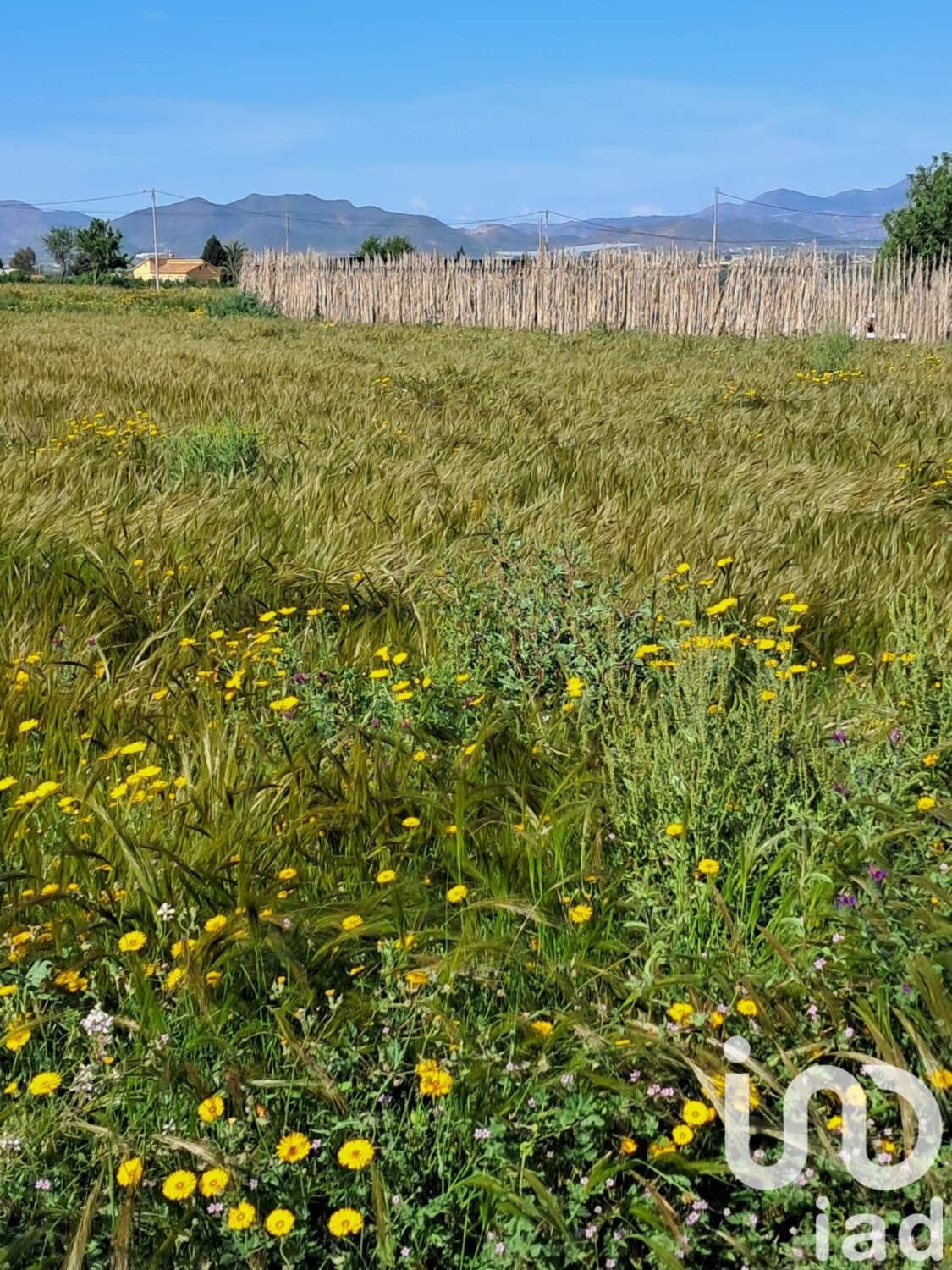 Parcela en Lorca, Murcia, España 3843 m2 No. 185881
