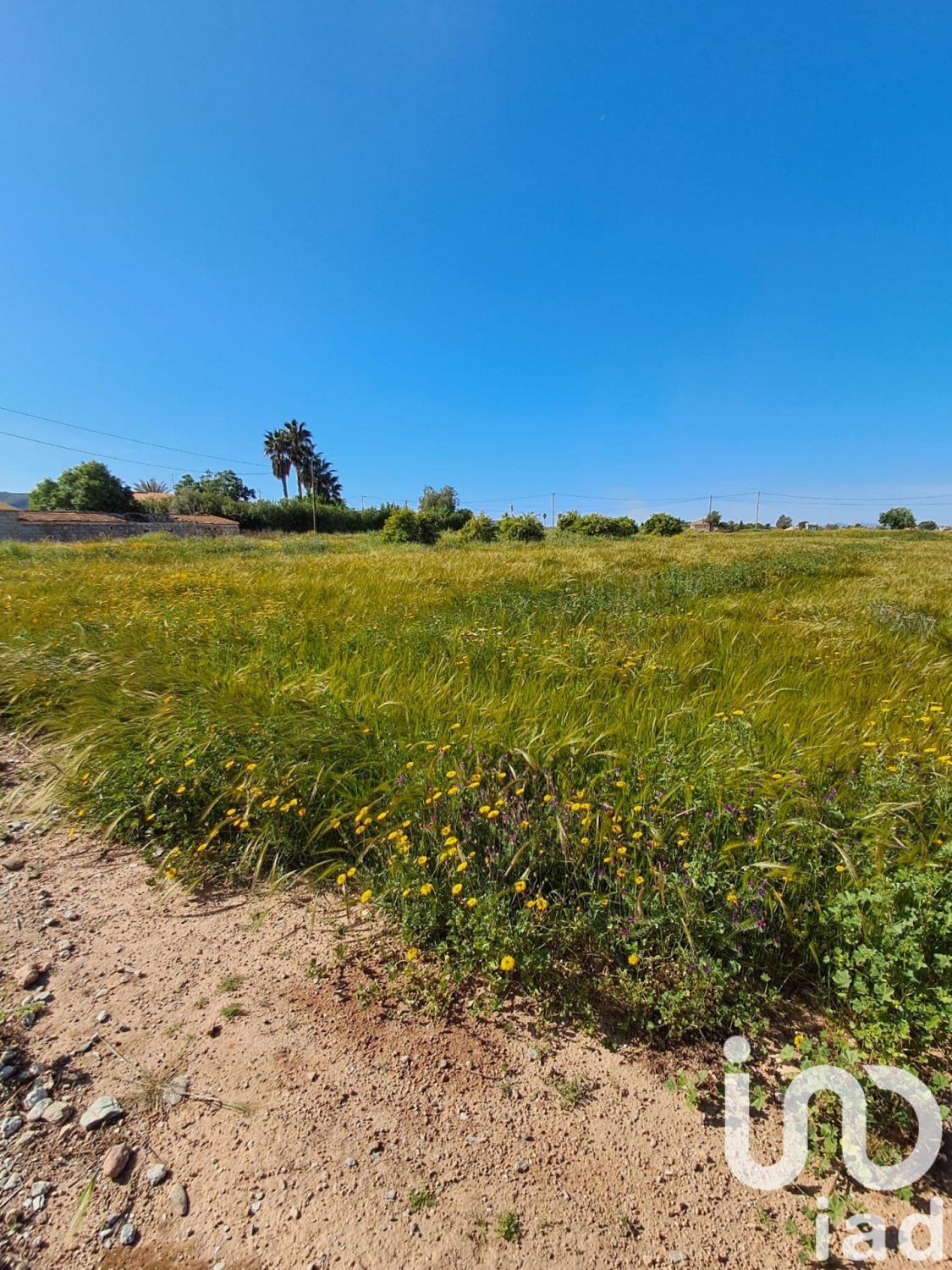 Parcela en Lorca, Murcia, España 3843 m2 No. 185881