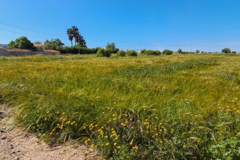 Parcela en venta en Lorca, Murcia, España 3843 m2 No. 185881 - foto 19