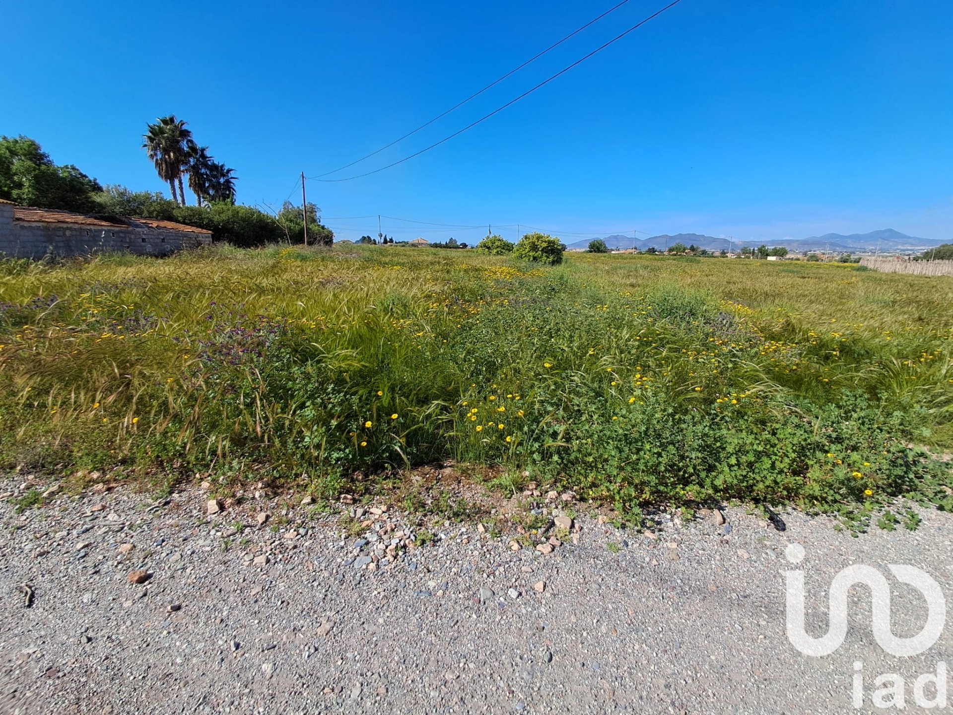 Parcela en Lorca, Murcia, España 3843 m2 No. 185881