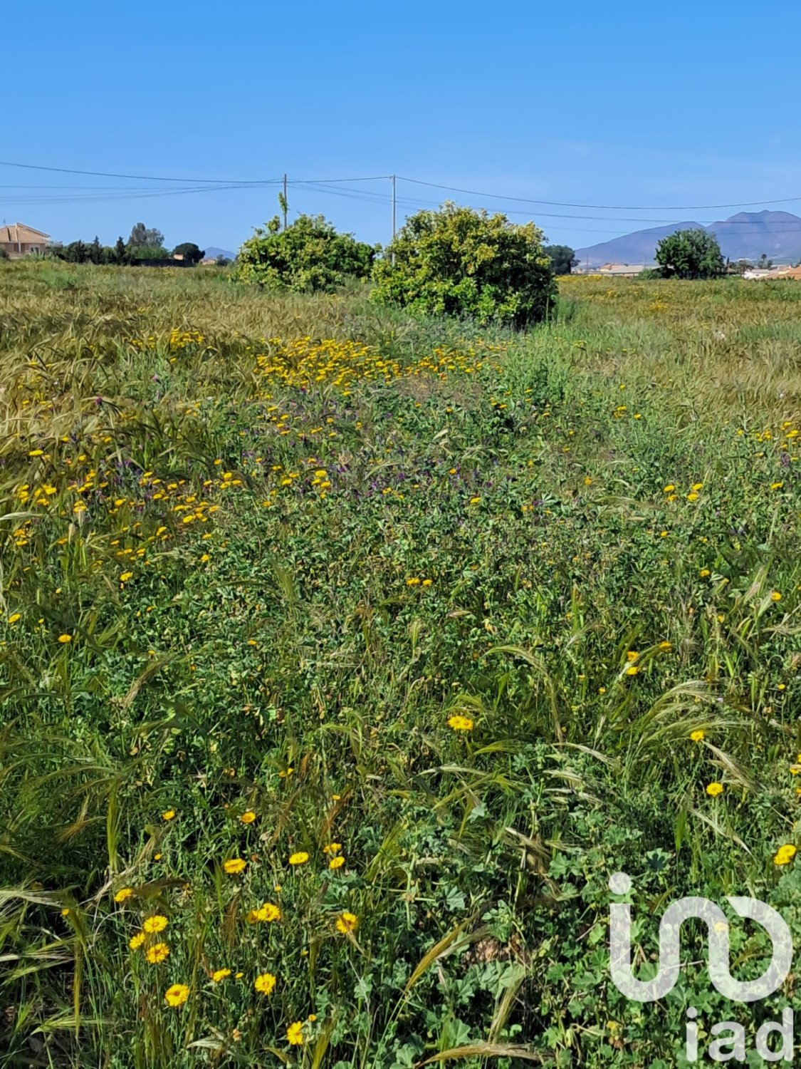 Parcela en Lorca, Murcia, España 3843 m2 No. 185881