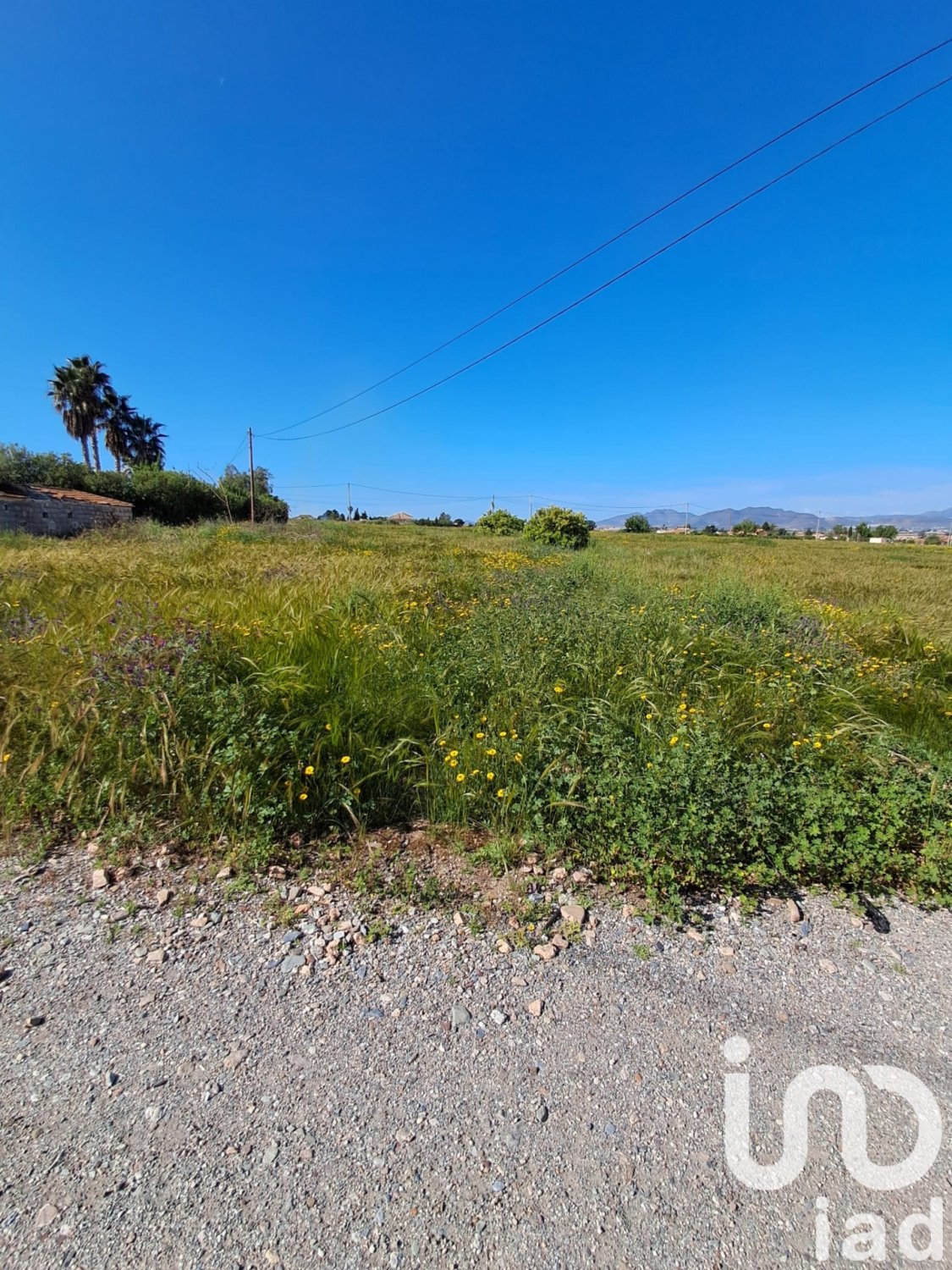 Parcela en Lorca, Murcia, España 3843 m2 No. 185881