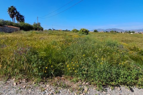 Parcela en venta en Lorca, Murcia, España 3843 m2 No. 185881 - foto 6