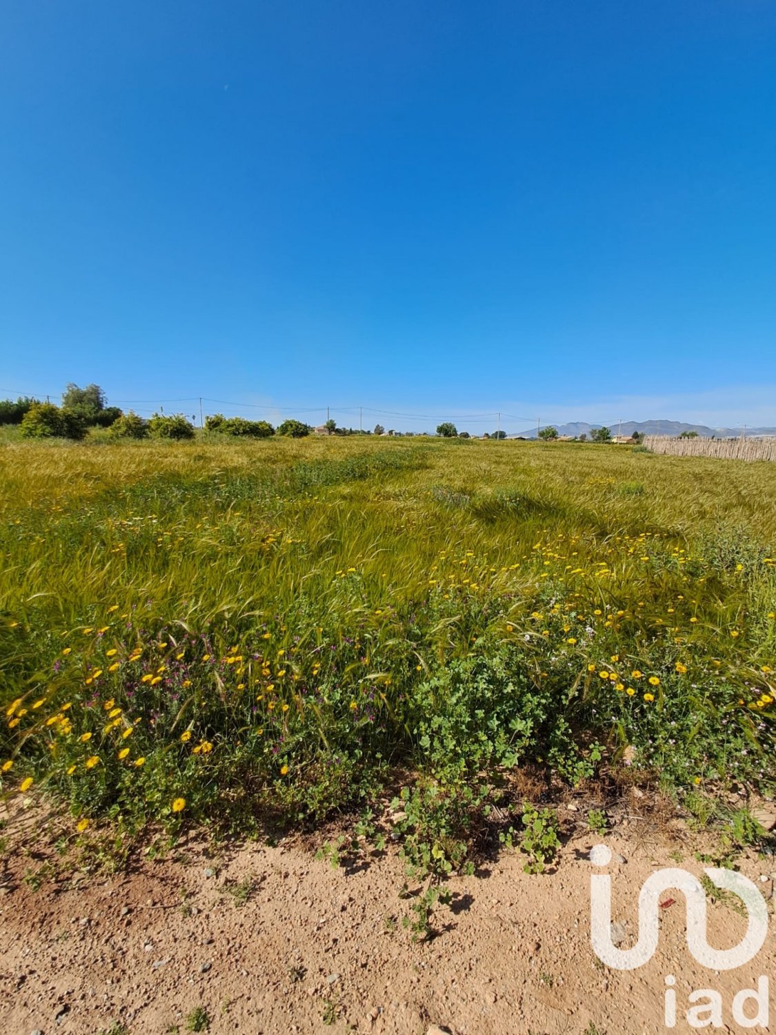 Parcela en Lorca, Murcia, España 3843 m2 No. 185881