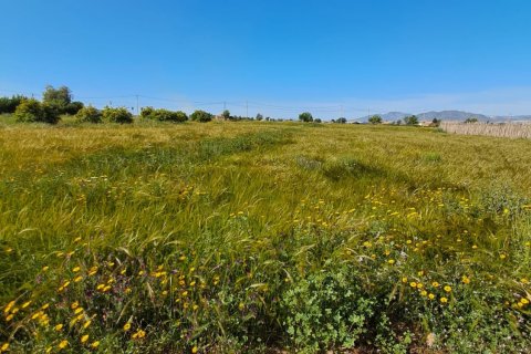 Parcela en venta en Lorca, Murcia, España 3843 m2 No. 185881 - foto 15