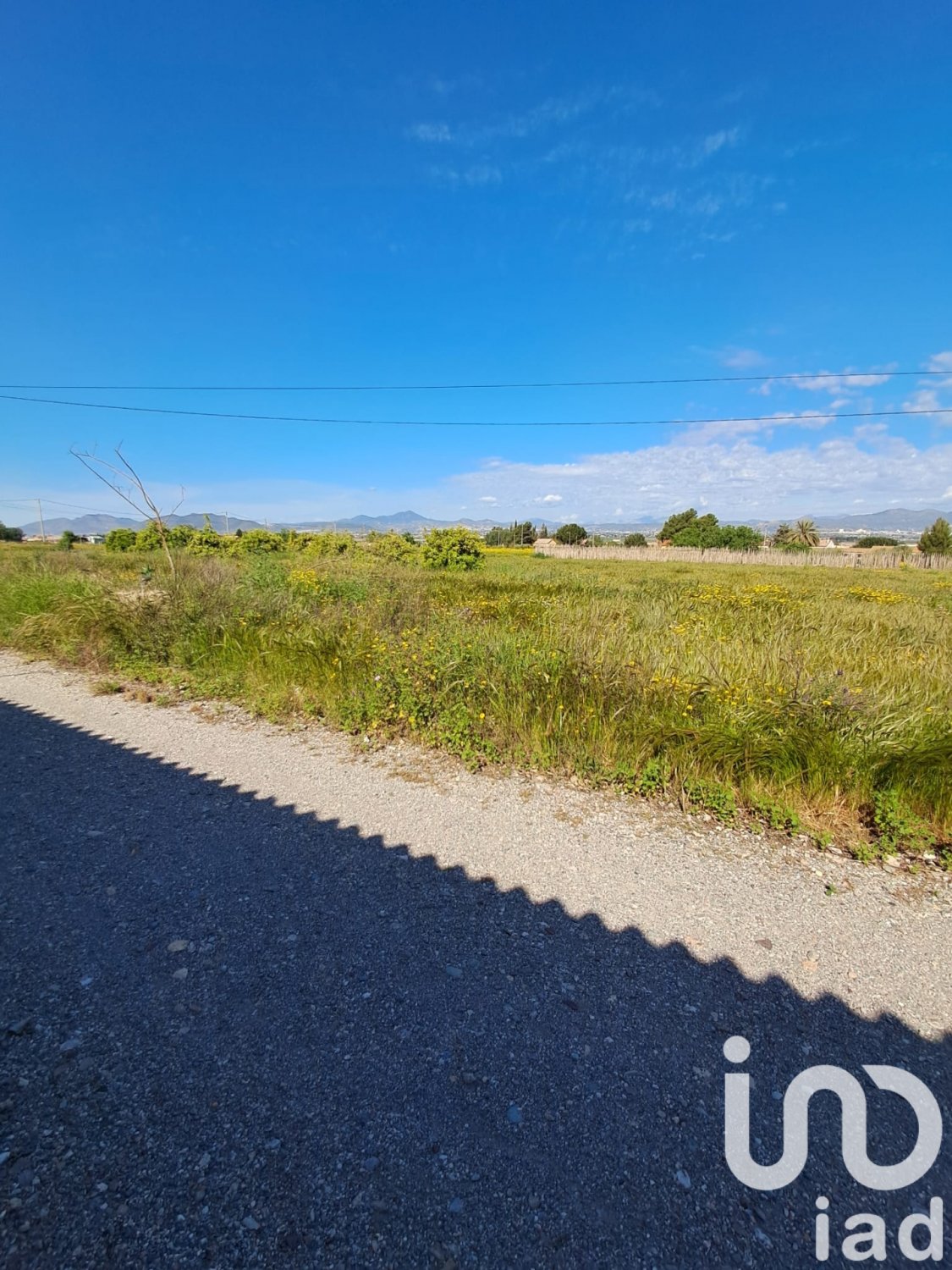 Parcela en Lorca, Murcia, España 3843 m2 No. 185881