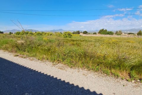 Parcela en venta en Lorca, Murcia, España 3843 m2 No. 185881 - foto 30