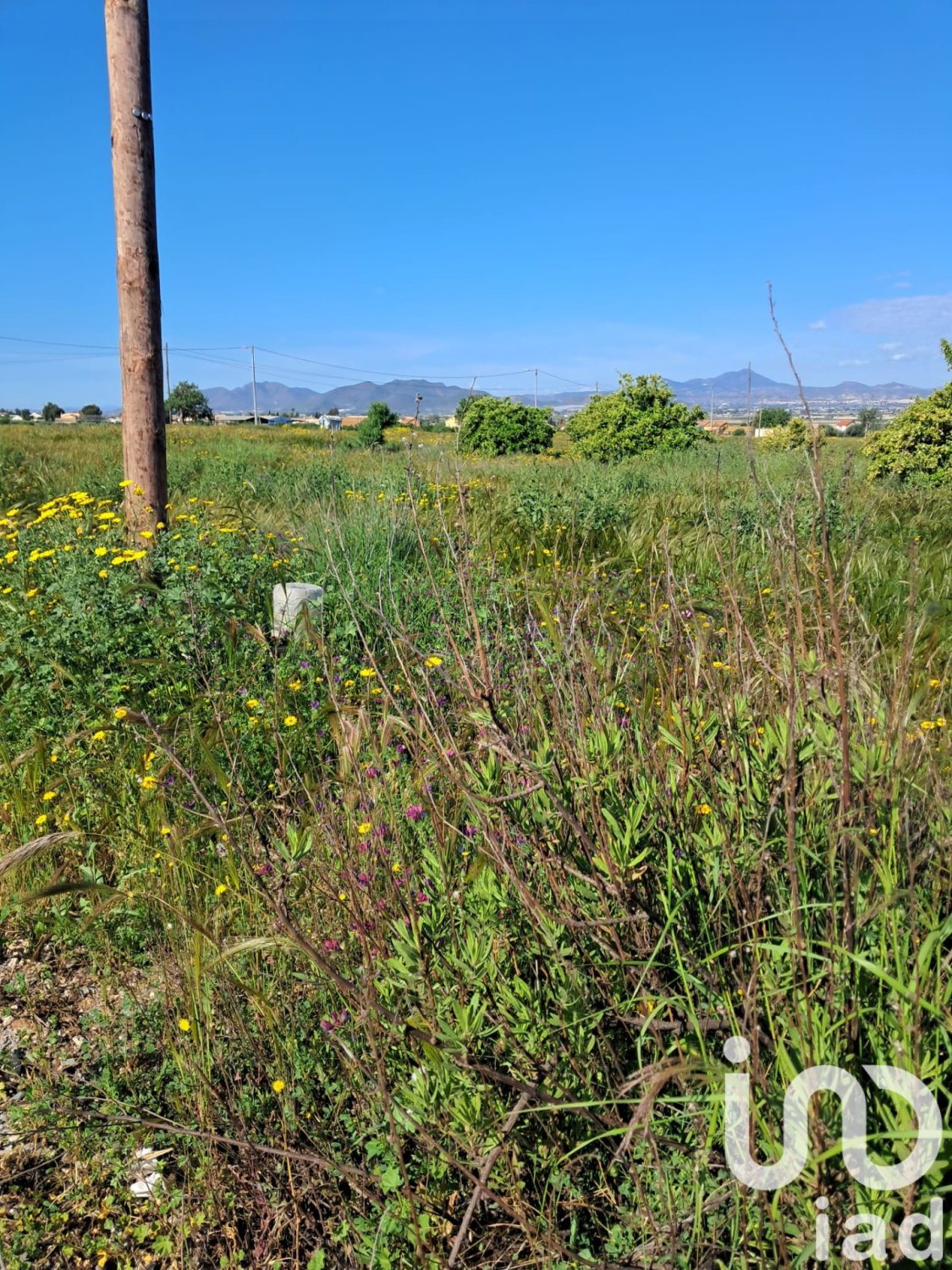 Parcela en Lorca, Murcia, España 3843 m2 No. 185881