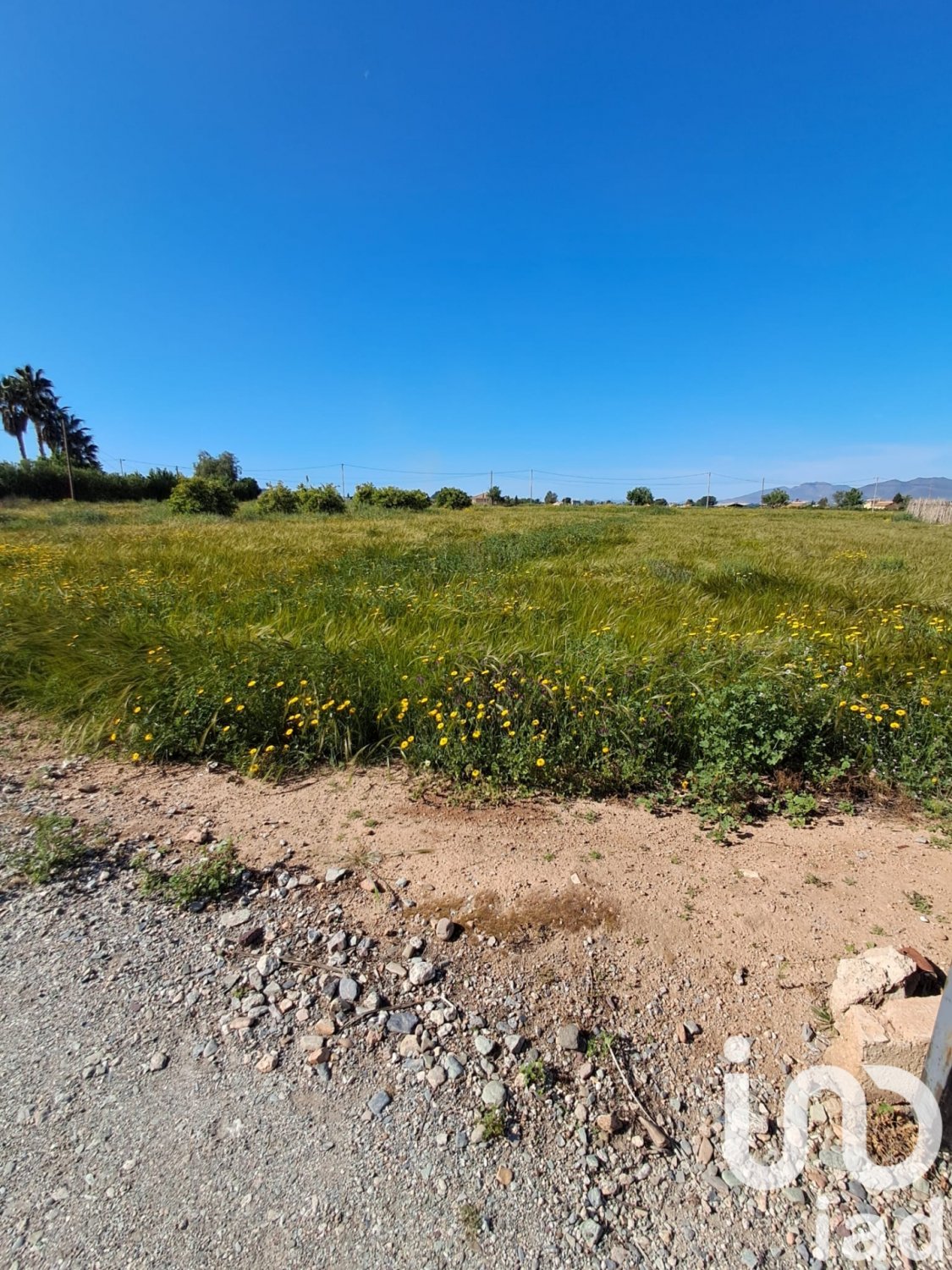 Parcela en Lorca, Murcia, España 3843 m2 No. 185881