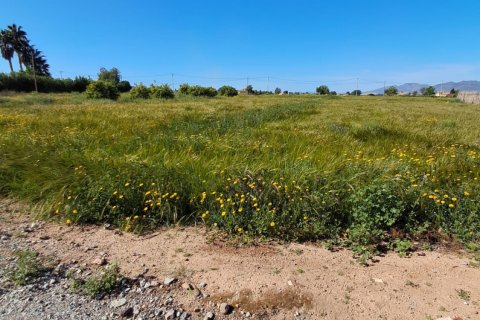 Parcela en venta en Lorca, Murcia, España 3843 m2 No. 185881 - foto 17