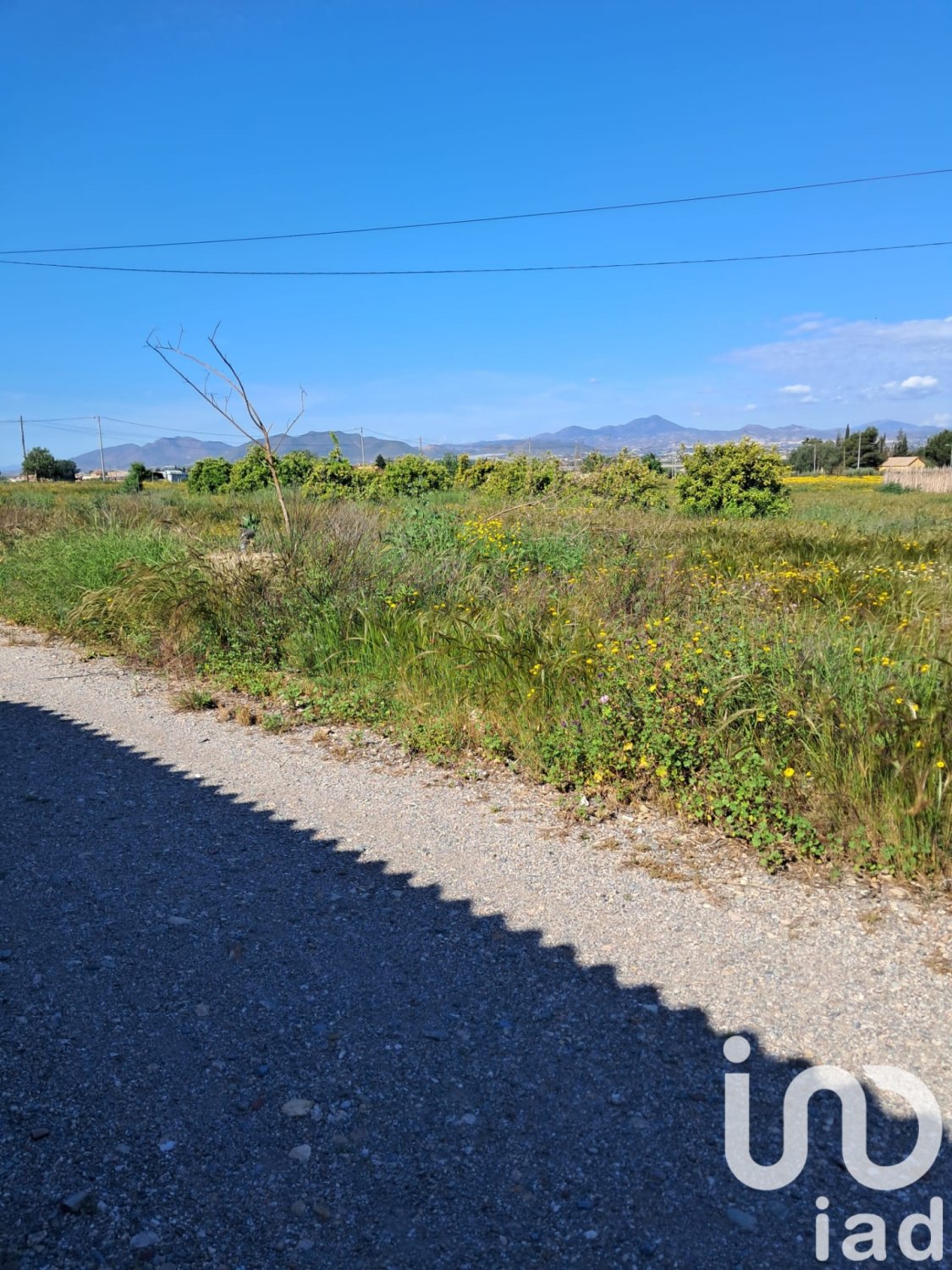 Parcela en Lorca, Murcia, España 3843 m2 No. 185881