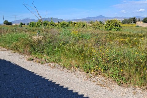 Parcela en venta en Lorca, Murcia, España 3843 m2 No. 185881 - foto 14