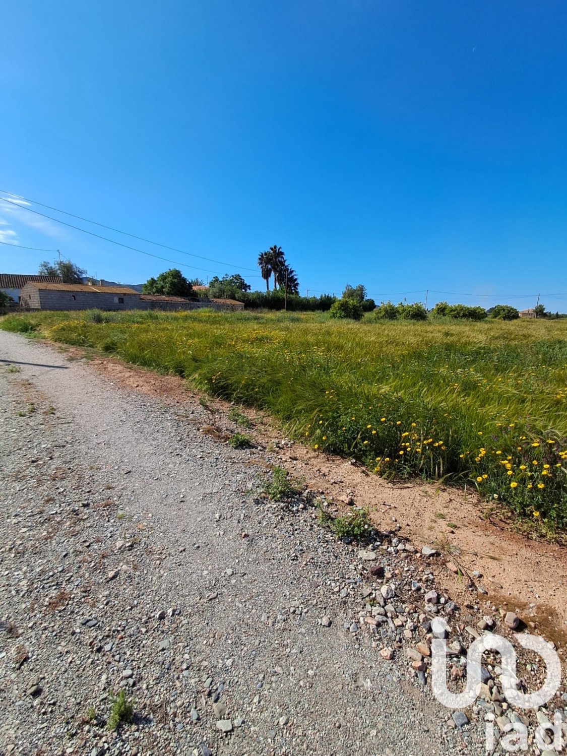 Parcela en Lorca, Murcia, España 3843 m2 No. 185881