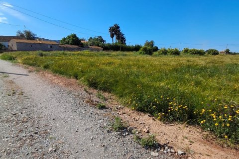 Parcela en venta en Lorca, Murcia, España 3843 m2 No. 185881 - foto 29