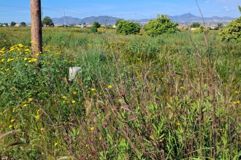 Parcela en venta en Lorca, Murcia, España 3843 m2 No. 185881 - foto 25