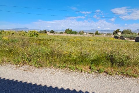 Parcela en venta en Lorca, Murcia, España 3843 m2 No. 185881 - foto 9