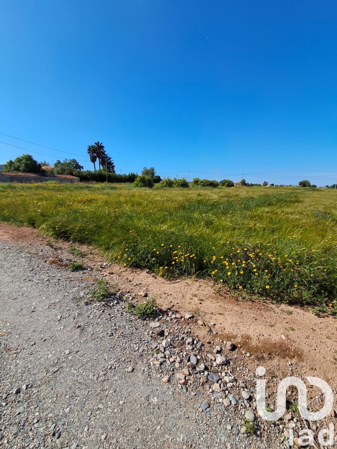 Parcela en Lorca, Murcia, España 3843 m2 No. 185881