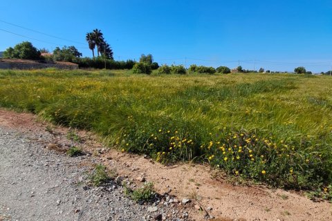 Parcela en venta en Lorca, Murcia, España 3843 m2 No. 185881 - foto 18